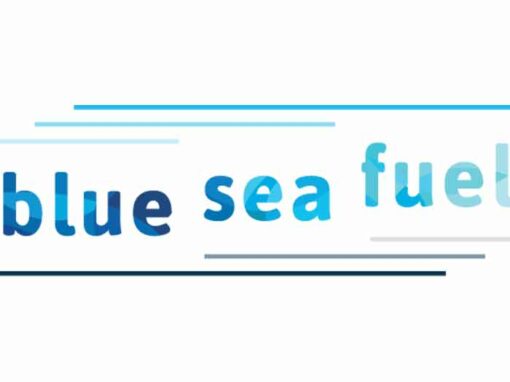 Blue Sea Fuel